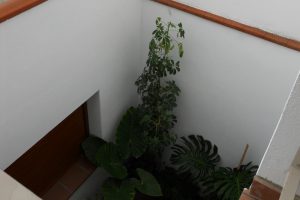 REHAB. CASA ENTRE MITGERES AL PALAU